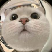 Sweetbox的个人资料头像