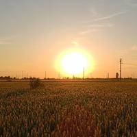 自由晚风Yht头像