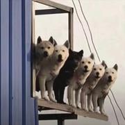 做不了的个人资料头像