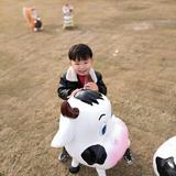 痞子董341头像