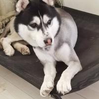 用户732737910406头像