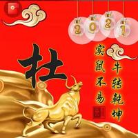 平罗讲究人头像