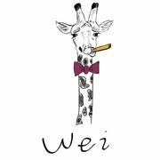CaptainAce的个人资料头像