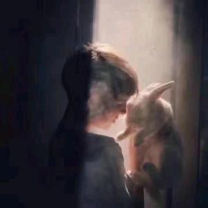 智慧安德烈娅5o0头像