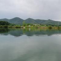 枫124608433头像