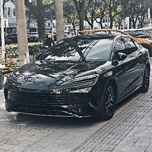 Непобедимая печать