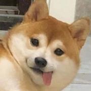 so_coding的个人资料头像