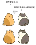 七佳的个人资料头像