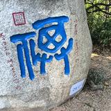 东莞锋兰达头像