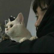 用户8619707679703的个人资料头像