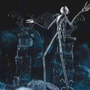 叹酸的个人资料头像