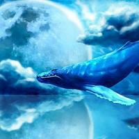 灿烂熊猫gxo头像