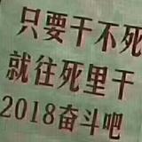 强子头像