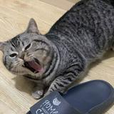 用户7703459981287头像