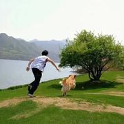 F汪的个人资料头像