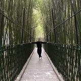 用户601465007042头像