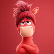 也许明天y的个人资料头像