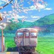 taoran的个人资料头像