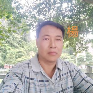 快乐星空4q5头像