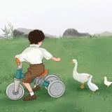 小小小鸟417头像