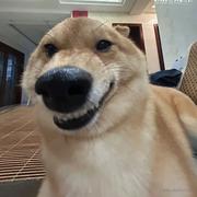 jackyyyyyy的个人资料头像