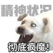 thirteen_的个人资料头像