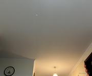 卡卡啦啦已的个人资料头像