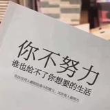 你家飞机头像