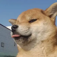 大千世代录头像