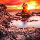 mr黎的个人资料头像