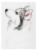 于渊丶的个人资料头像