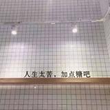 五訶琴里头像