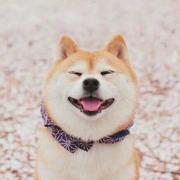 一饼的个人资料头像