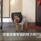 迷亭先生呀头像