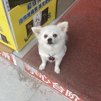 执着的山丘sgY头像