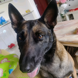 吉祥伟爷爷头像