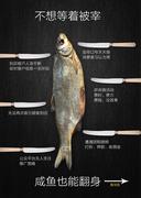 咸鱼的眼神的个人资料头像