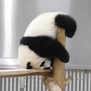 微光172的个人资料头像