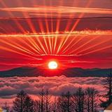 旭日东升Zlb13146668头像