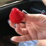 星瑞豪华后悔没上尊贵头像