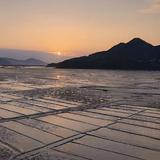 龙锦海鲜楼头像