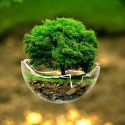 用户5268503321690的个人资料头像