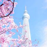 花香满园头像