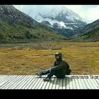 智慧葡萄qn头像