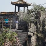 奇妙海浪qLA头像