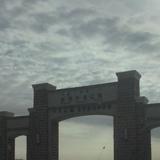 睿智星星r头像