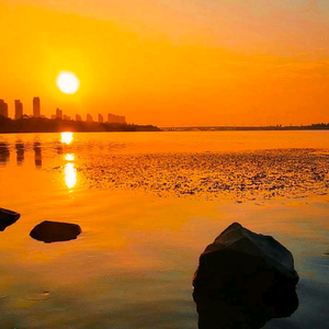 洛阳光头哥头像