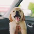 圆圈er的个人资料头像