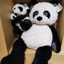 yqStar的个人资料头像