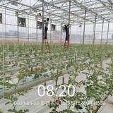 罗阳615头像